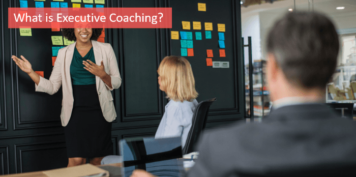 What is Executive Coaching